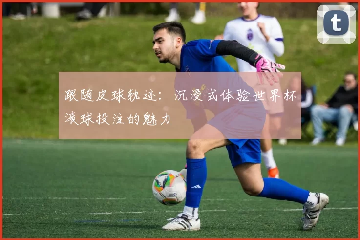跟随皮球轨迹:沉浸式体验世界杯滚球投注的魅力