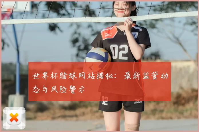 世界杯赌球网站揭秘:最新监管动态与风险警示