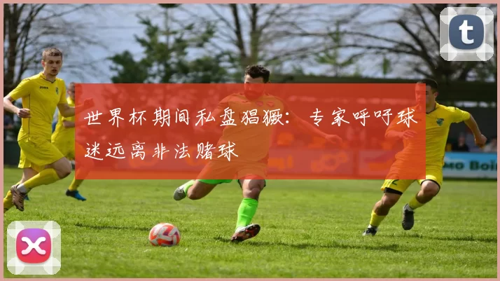 世界杯期间私盘猖獗:专家呼吁球迷远离非法赌球