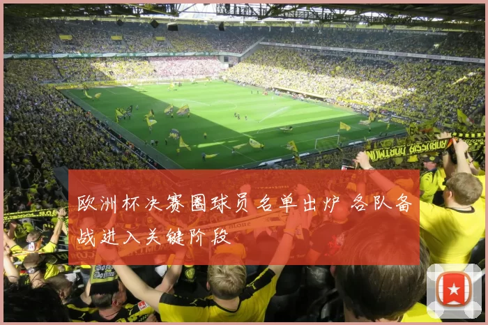 欧洲杯决赛圈球员名单出炉 各队备战进入关键阶段