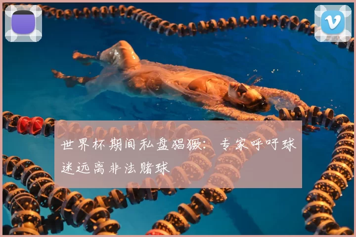 世界杯期间私盘猖獗:专家呼吁球迷远离非法赌球